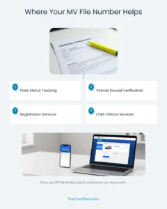 Using an MV File Number for LTO and LTMS vehicle services